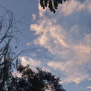 少女BBBBBBBBBB∧V色
